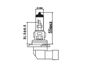 H10 Auto Headlight Bulb