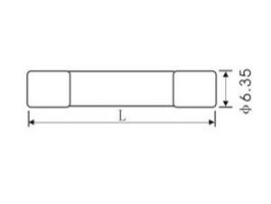 Auto AGC Fuse